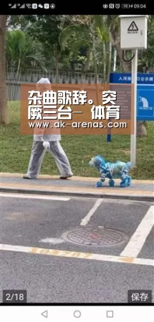  数据分析