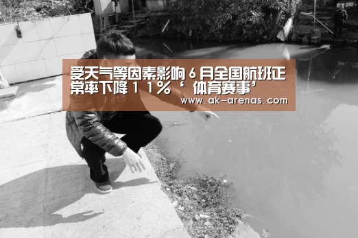 受天气等因素影响6月全国航班正常率下降11%‘ 体育赛事’(图3) 体育赛事