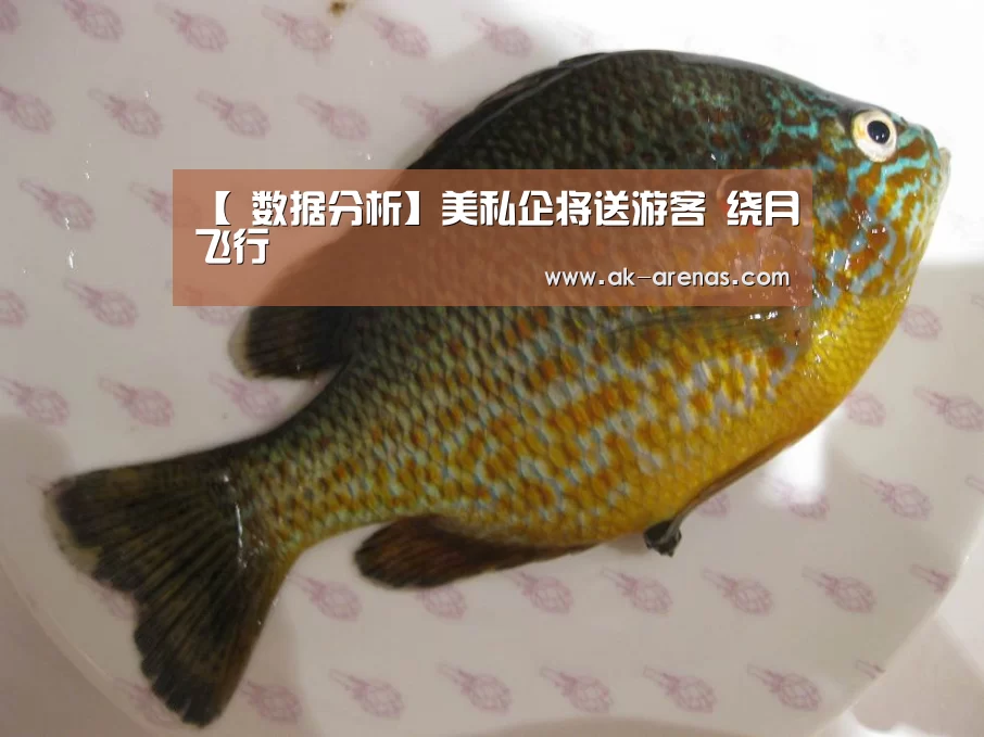 【 数据分析】美私企将送游客 绕月飞行(图3) 体育赛事