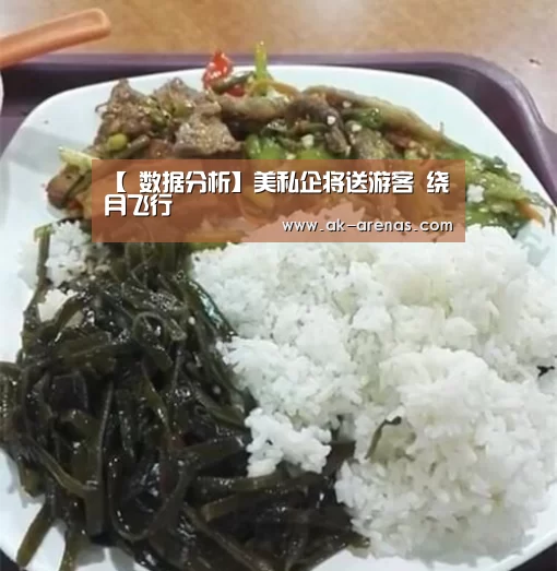 【 数据分析】美私企将送游客 绕月飞行(图2) 体育视频
