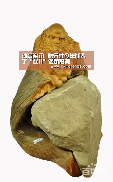 体育资讯-旅行社今年加入了“双11”促销热潮(图2) AK体育