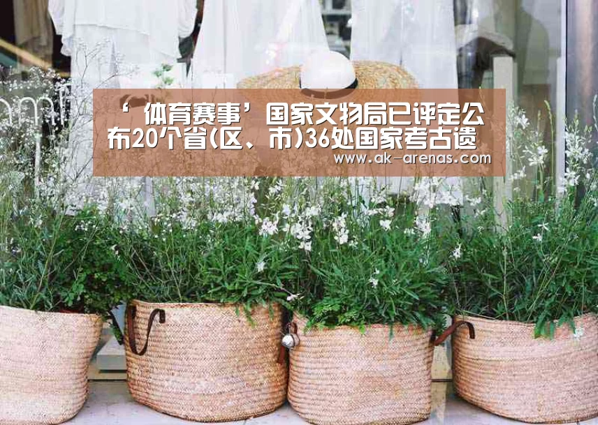‘ 体育赛事’国家文物局已评定公布20个省(区、市)36处国家考古遗址公园(图4) 体育资讯